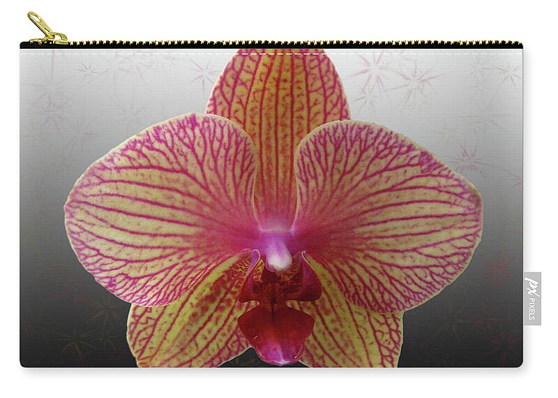 Flower Zip Pouch featuring the photograph Orchid with Stars by Donna Brown