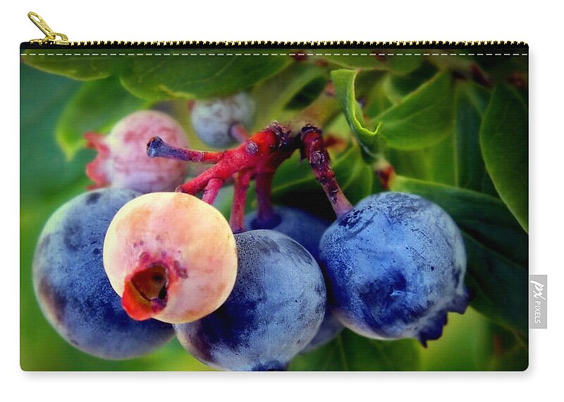 Blueberries Zip Pouch featuring the photograph Organic Blues by Karen Wiles