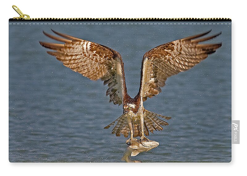 Osprey Carry-all Pouch featuring the photograph Osprey Morning Catch by Susan Candelario