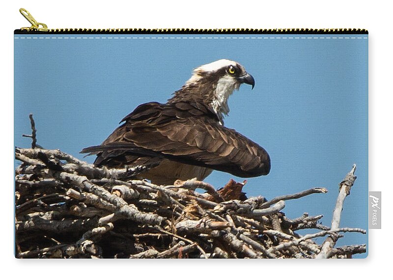 Osprey Zip Pouch featuring the photograph Osprey Nest 2 by John Daly