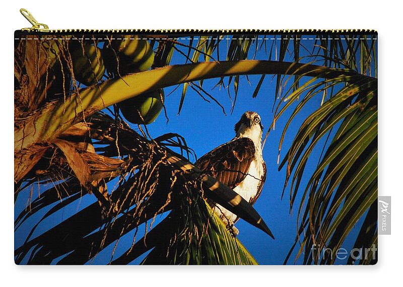 Osprey Zip Pouch featuring the photograph Osprey paradise by Quinn Sedam