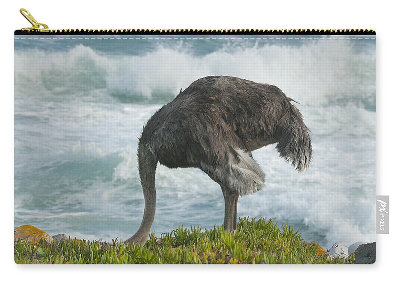Feb0514 Zip Pouch featuring the photograph Ostrich Female Feeding South Africa by Kevin Schafer