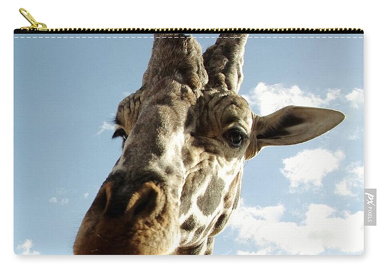 Out Of Africa Zip Pouch featuring the photograph Out of Africa Girraffe 2 by Phyllis Spoor