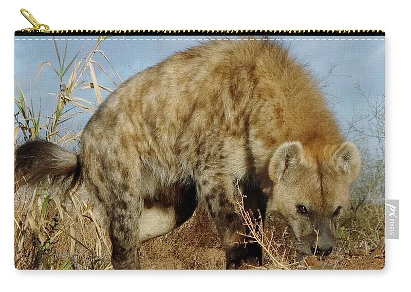 Out Of Africa Zip Pouch featuring the photograph Out of Africa Hyena 1 by Phyllis Spoor