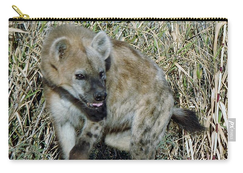 Out Of Africa Zip Pouch featuring the photograph Out of Africa Hyena 2 by Phyllis Spoor