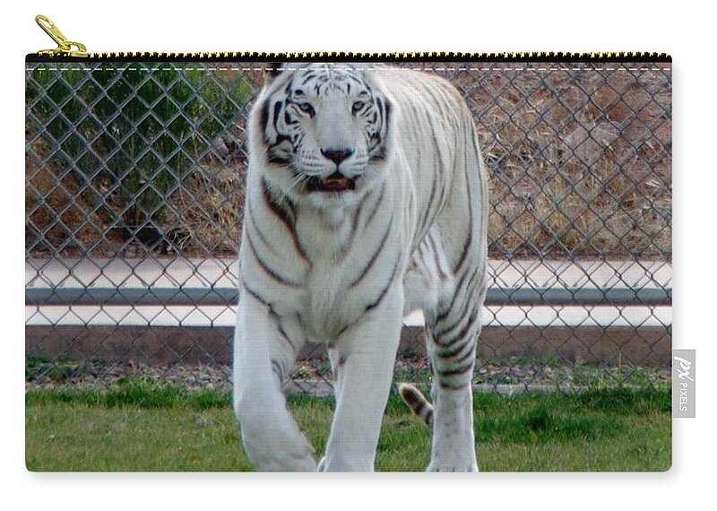 Tiger Zip Pouch featuring the photograph Out of Africa White Tiger by Phyllis Spoor