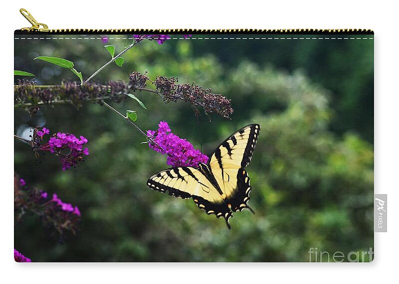 Butterfly Zip Pouch featuring the photograph Out Of Bounds by Judy Wolinsky