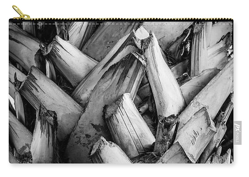 Sabal Mexicana Zip Pouch featuring the photograph Over and Under by Melinda Ledsome