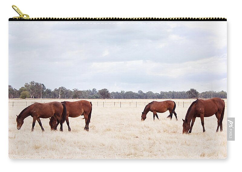  Horse Zip Pouch featuring the photograph Over the fence by Linda Lees