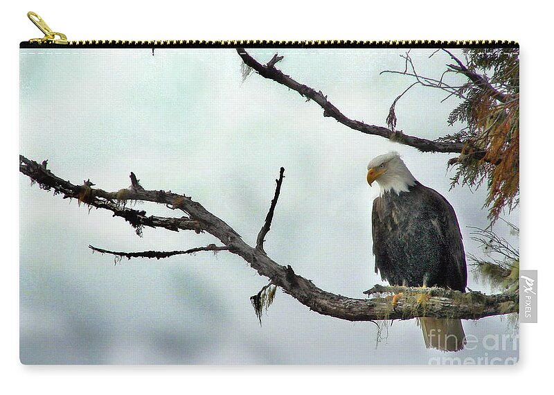 Eagle Zip Pouch featuring the photograph Overseeing Dinner by Vivian Martin