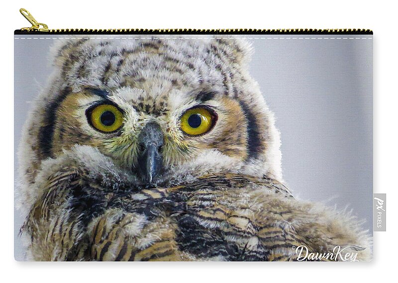  Zip Pouch featuring the photograph Owlet Close-up by Dawn Key