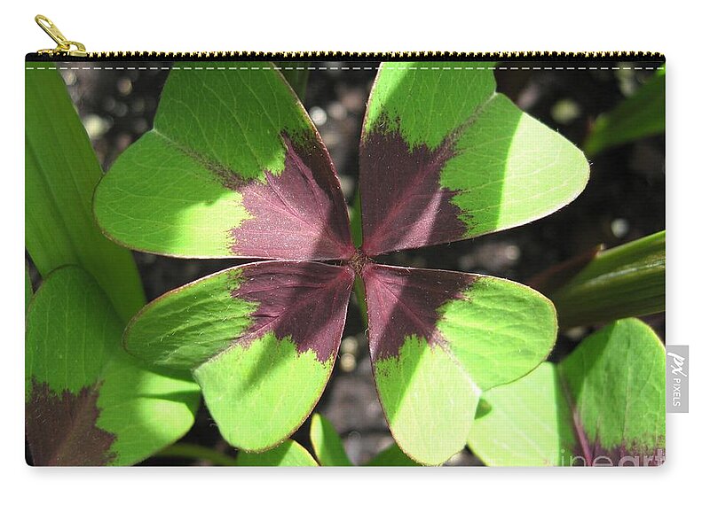 Mccombie Zip Pouch featuring the photograph Oxalis Deppei named Iron Cross by J McCombie