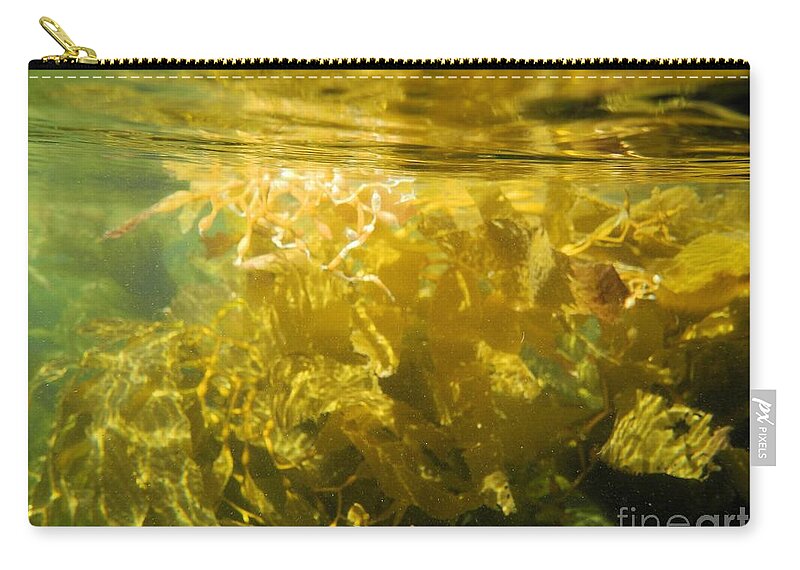Channel Islands National Park Zip Pouch featuring the photograph Pacific Ocean Kelp by Adam Jewell
