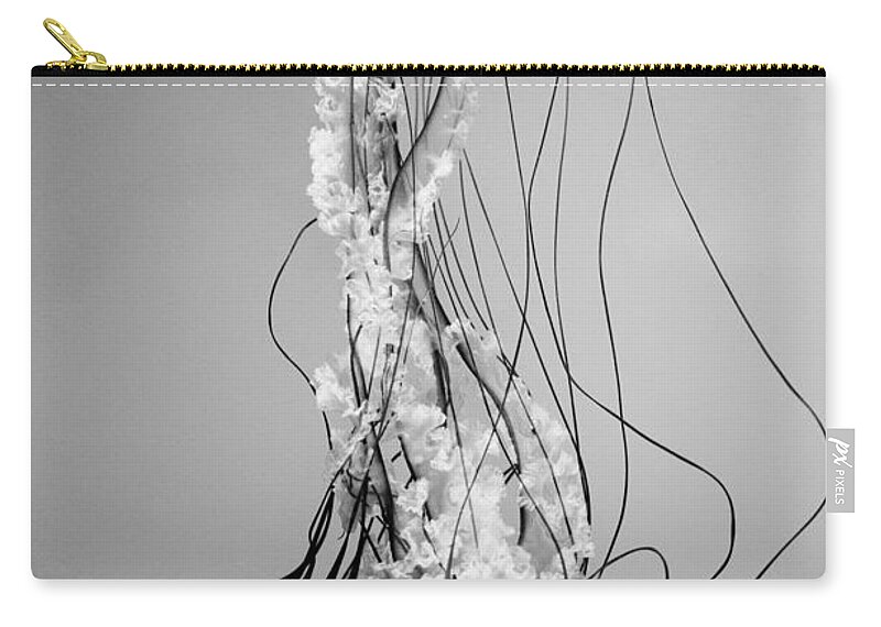 Pacific Sea Nettle Zip Pouch featuring the photograph Pacific Sea Nettle - Black and White by Marianna Mills