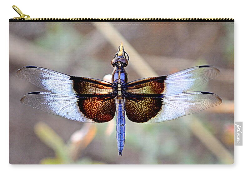 Insects Zip Pouch featuring the photograph Painted Lady by AJ Schibig