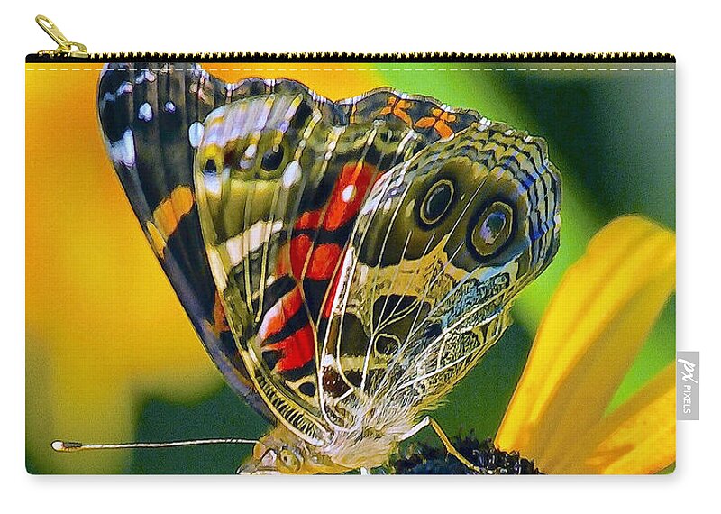 Painted Lady Zip Pouch featuring the photograph Painted Lady by Constantine Gregory