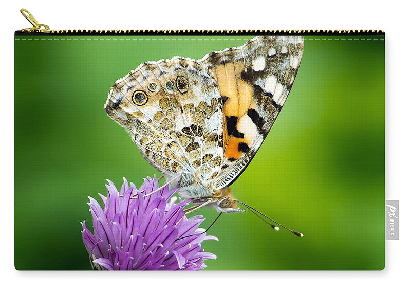 Painted Lady Zip Pouch featuring the photograph Painted Lady by Torbjorn Swenelius