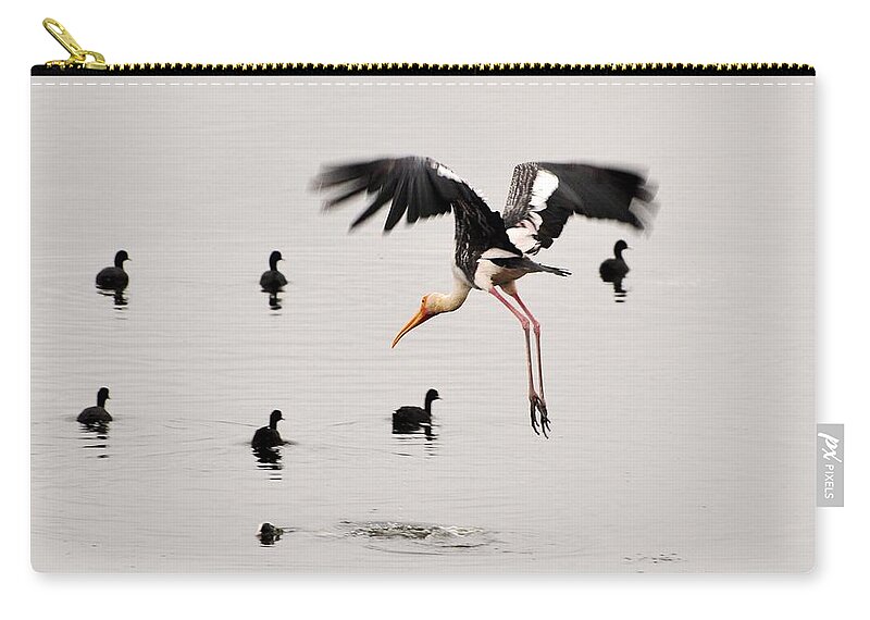 Standing Water Zip Pouch featuring the photograph Painted Stork .. And Ducks by Rj@rajnishjaiswal.com