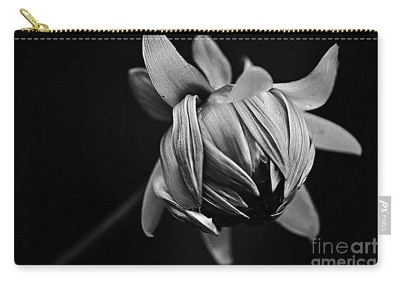 Photography Zip Pouch featuring the photograph Painterly Dahlia Bud in Black and White by Kaye Menner