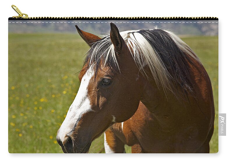 Horse Art Carry-all Pouch featuring the photograph Paintin' Summer by Amanda Smith