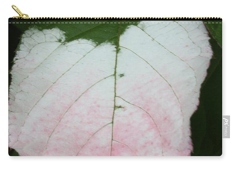 Leaves Carry-all Pouch featuring the photograph Pale Blush by Heather Gallup