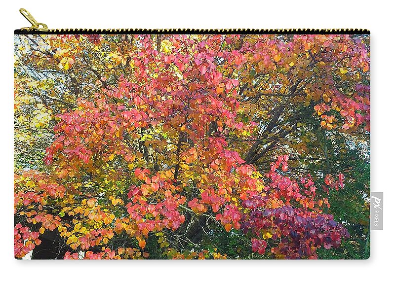 Fall Zip Pouch featuring the photograph Pallette of Fall Colors by Kenny Glover