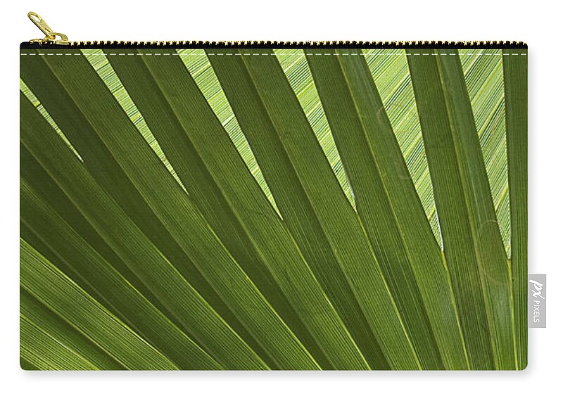 Palm Carry-all Pouch featuring the photograph Palm Abstract by Patty Colabuono