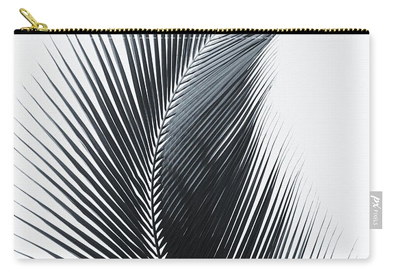 Black Zip Pouch featuring the photograph Palm frond curved upward towards sky _black and white photograph_ by Larry Dale Gordon