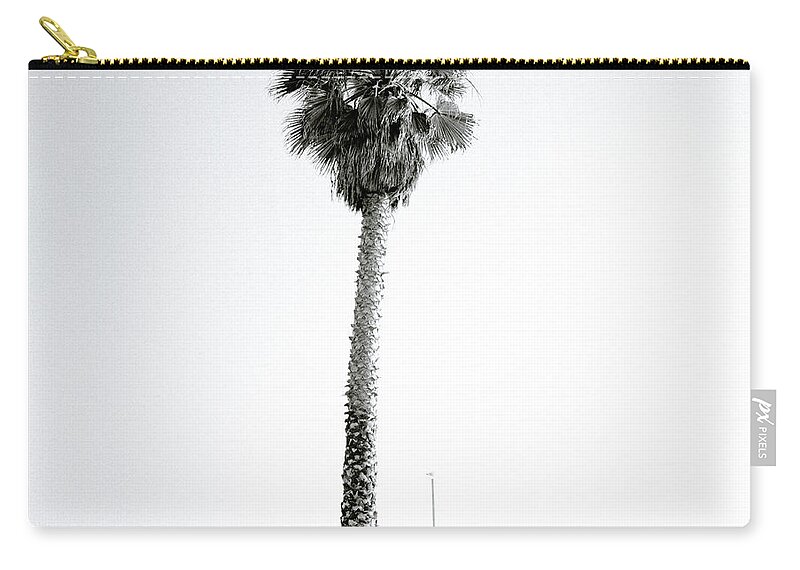 Graffiti Zip Pouch featuring the photograph Palm Tree And Graffiti by Shaun Higson