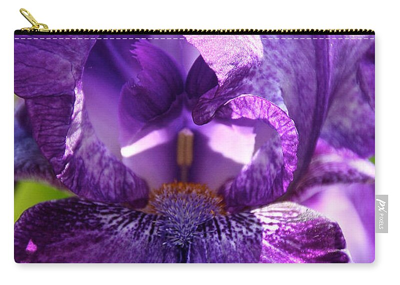 Flower Zip Pouch featuring the photograph Pandora's Purple by Susan Herber