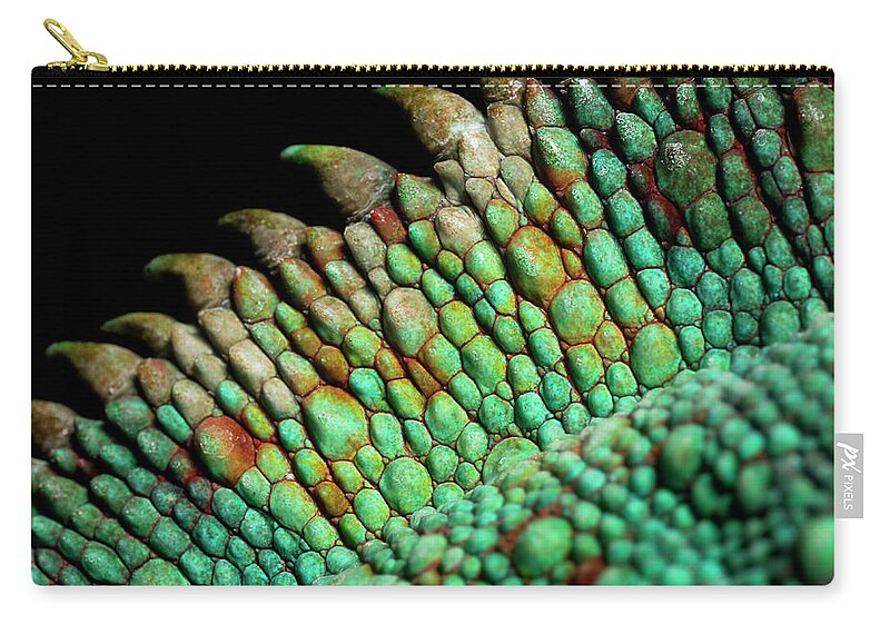 Animal Skin Zip Pouch featuring the photograph Panther Chameleon, Close Up On The Spine by Jonathan Knowles