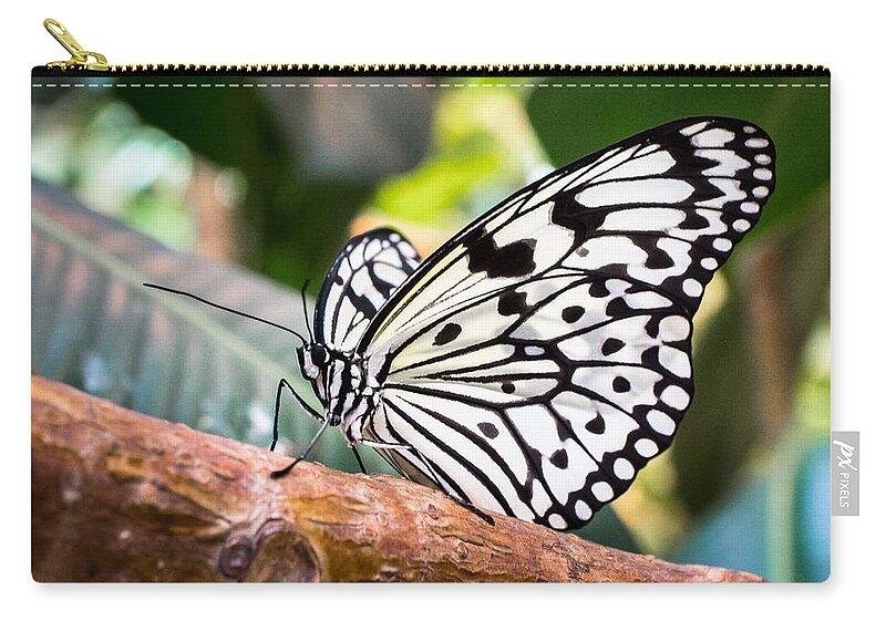 Macro Zip Pouch featuring the photograph Paper Kite by Bill Pevlor
