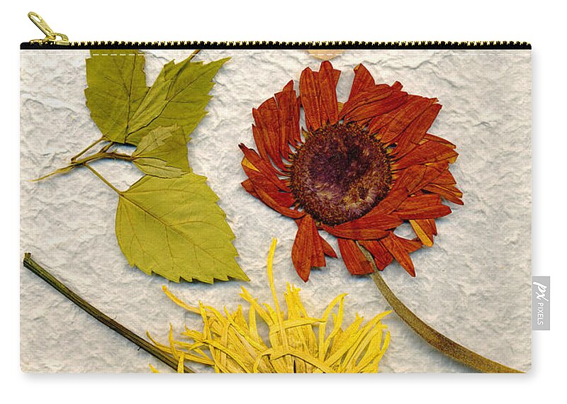  Zip Pouch featuring the photograph Papyrus3 by Matthew Pace