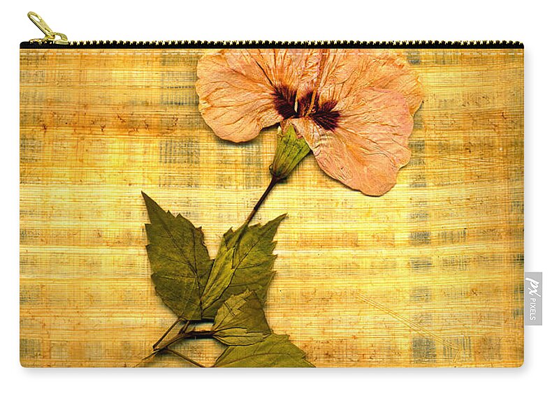 Flowers Zip Pouch featuring the photograph Papyrus6 by Matthew Pace