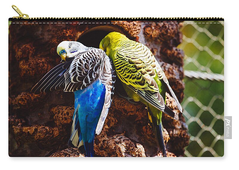 Parakeet Zip Pouch featuring the photograph Parakeets by Pati Photography