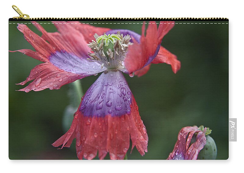 Poppy Zip Pouch featuring the photograph Pardon My Petal by Theresa Tahara