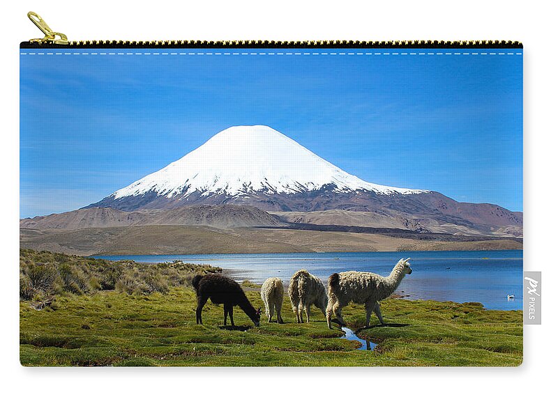 Chile Zip Pouch featuring the photograph Parinacota Volcano Lake Chungara Chile by Kurt Van Wagner