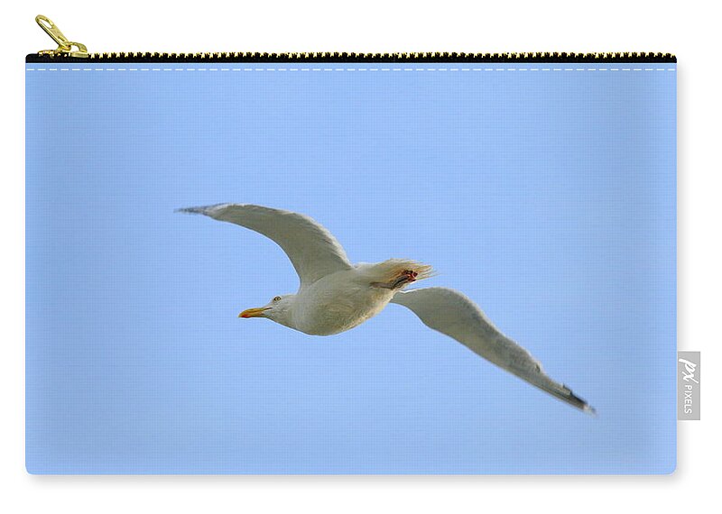 Flying Seagull Zip Pouch featuring the photograph Passing By by Neal Eslinger