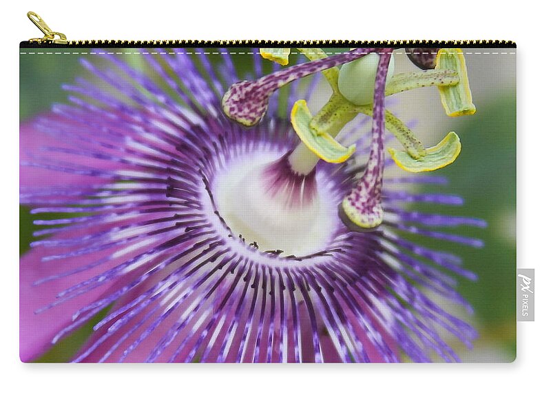 Passiflora Zip Pouch featuring the photograph Passion Flower Close Up by Cathy Lindsey
