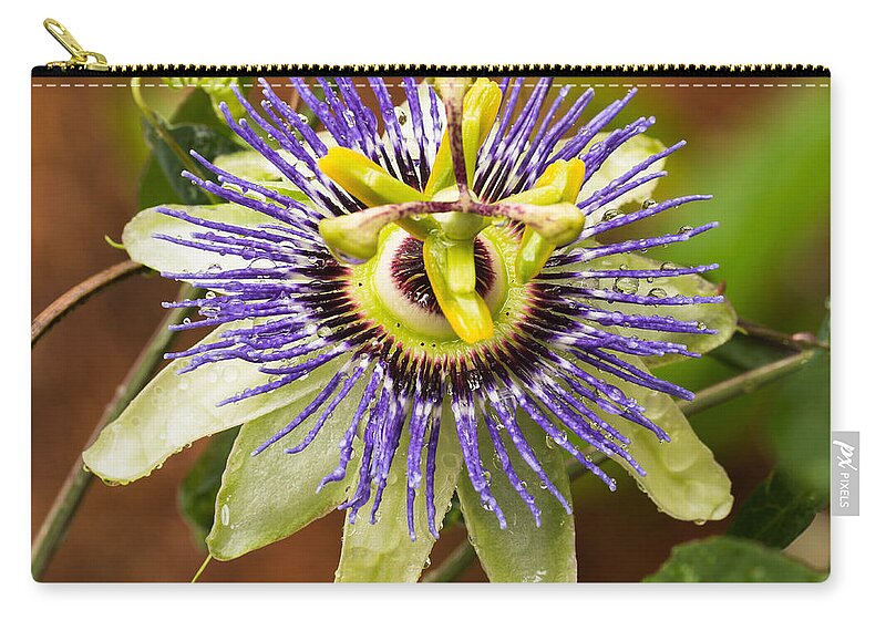 Passion Flower Zip Pouch featuring the photograph Passion Flower by Patricia Schaefer