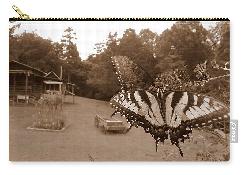 Butterfly Zip Pouch featuring the photograph Past and Present by Kim Galluzzo