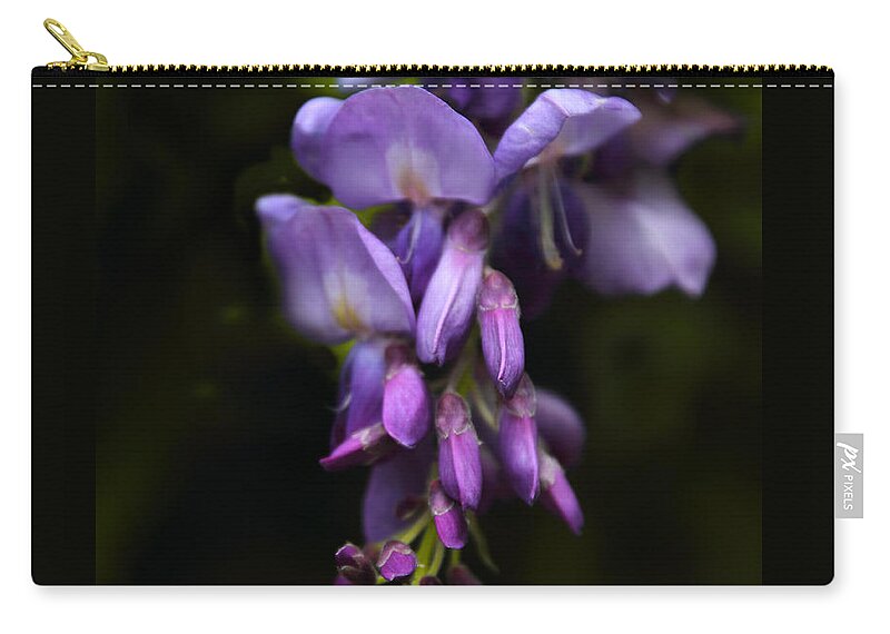 Flowers Zip Pouch featuring the photograph Past Prime by Jessica Jenney