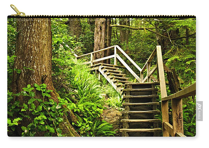 Wooden path in temperate rainforest Zip Pouch by Elena Elisseeva - Fine Art  America