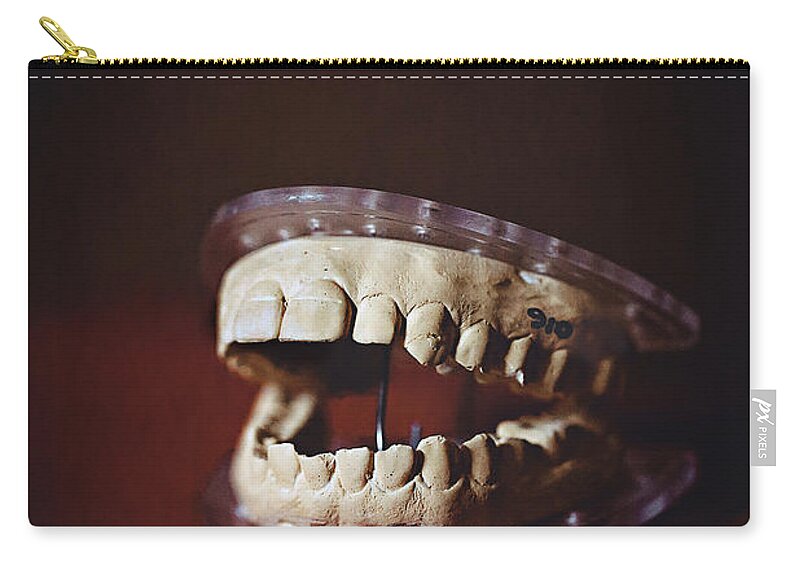  Zip Pouch featuring the photograph Patient 910 by Trish Mistric