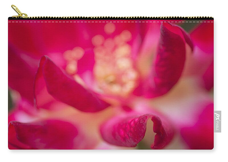 Rose Zip Pouch featuring the photograph Patterned Petals by Priya Ghose