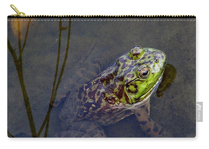 Golden Temple Zip Pouch featuring the photograph Peace Frog by LeLa Becker