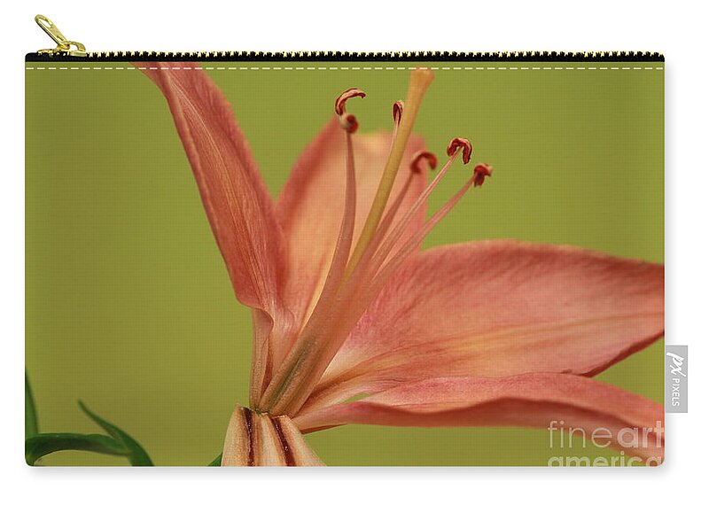 Lily Zip Pouch featuring the photograph Peach Lily 4 by Joseph Marquis