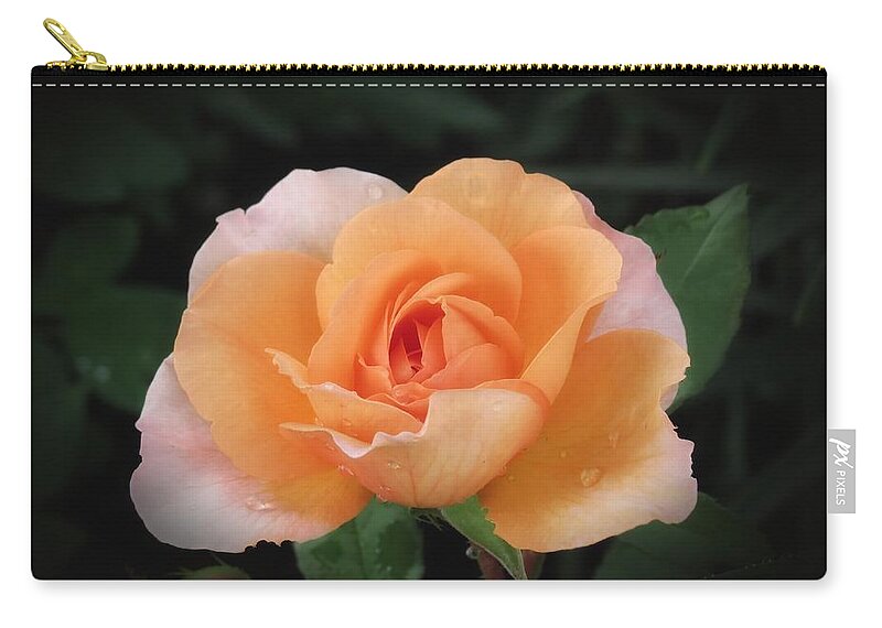 Rose Zip Pouch featuring the photograph Peach Petals - Rose by MTBobbins Photography