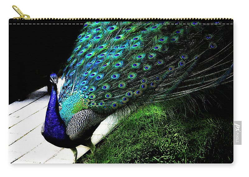 Peacock Zip Pouch featuring the photograph Peacock Beauty 4 by Madeline Ellis