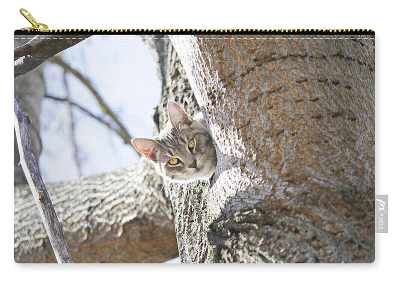 Cat Zip Pouch featuring the photograph Peaking Cat by Sharon Popek